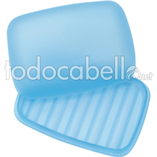 SOAP CASE PLASTIC