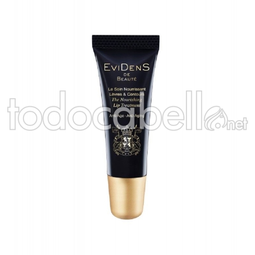 Evidens De B. The Nourishing Lip Treat10