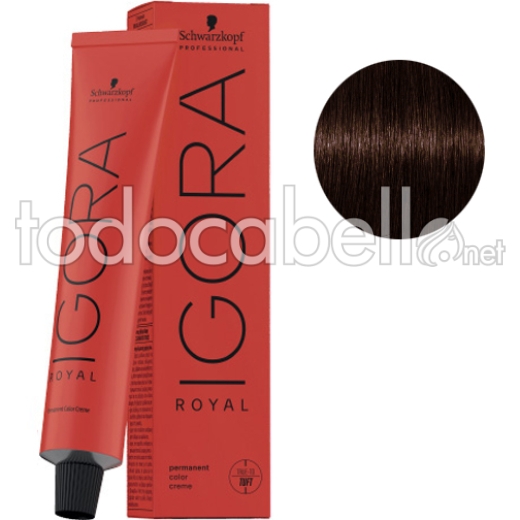 Schwarzkopf Tinte Igora Royal Castaño Oscuro Marrón Rojo