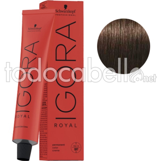 Schwarzkopf Tinte Igora Royal Castaño Medio