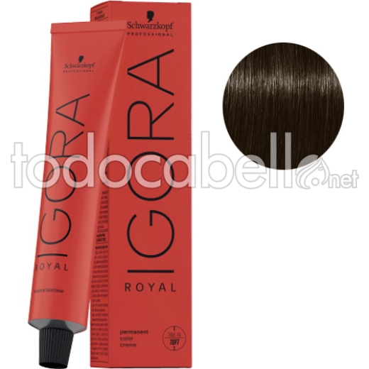 Igora Earthy Clay Dye 5-16 Hellbraune Schokoladenasche 60ml