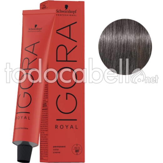 Schwarzkopf Tinte Igora Royal Rubio Oscuro Ceniza Humo