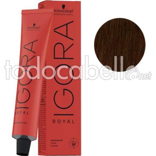 Tint Schwarzkopf Igora Royal 6-12 Dark Ash Chocolate Blonde + Oxigenada  Kosswell