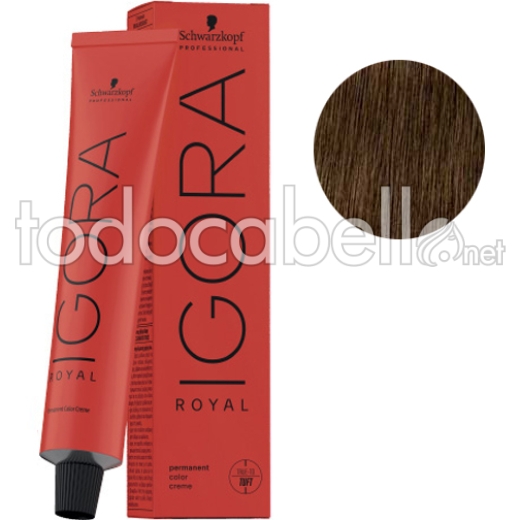 Tint Schwarzkopf Igora Royal 6-46 Dunkelblond Schokolade Beige 60ml