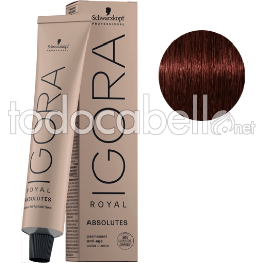 Schwarzkopf Tinte Igora Royal Absolutes  Castaño Claro Rojo Natural