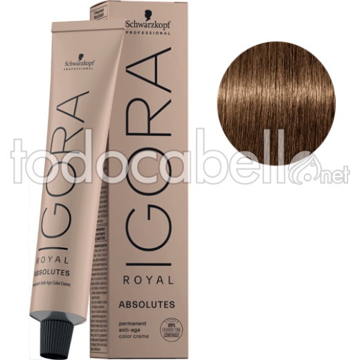 Schwarzkopf Tinte Igora Royal Absolutes Rubio Medio Dorado Natural