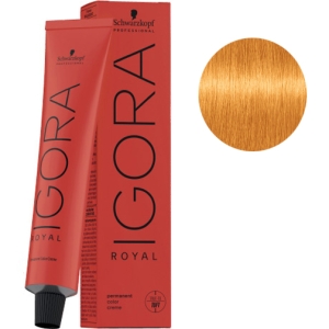 Schwarz Igora Royal 0-55 Tint Tone Gold + Peroxid-Mischung Kosswell