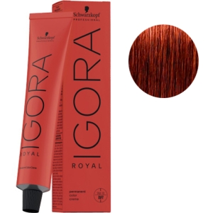 Tint Schwarzkopf Igora Royal 6-77 Dunkelblond Intensive + Peroxide cobrizo  Kosswell